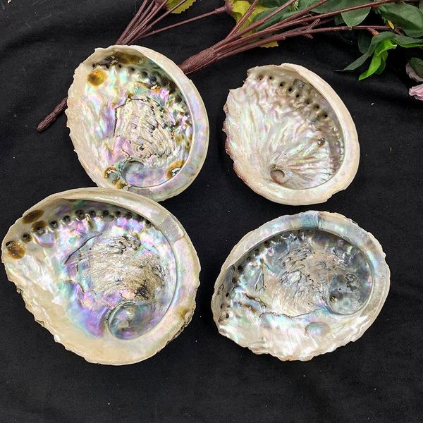 

11 12cm seashells natural abalone shells ocean home decor diy nautical wedding decoration soap holder shell for jewelry making h jlltue