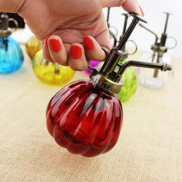 

watering equipments spray bottle sprinkler system retro old glass succulents plants nostalgic can