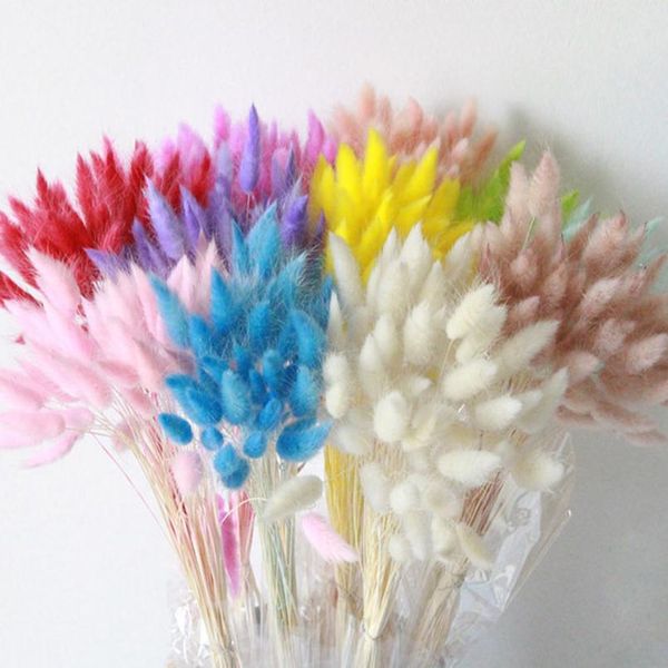 

30pcs/lot natural dried flowers rabbit tail grass bunch colorful lagurus ovatus real flower bouquet for home wedding de jllifo