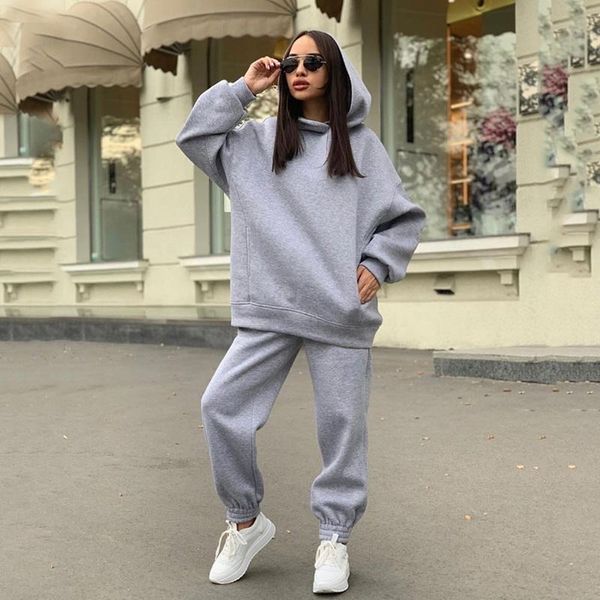 

two piece set casual fleece tracksuit women winter 2020 women's sets oversized hooded long sleeve hoodie sport pants lady suit, Gray