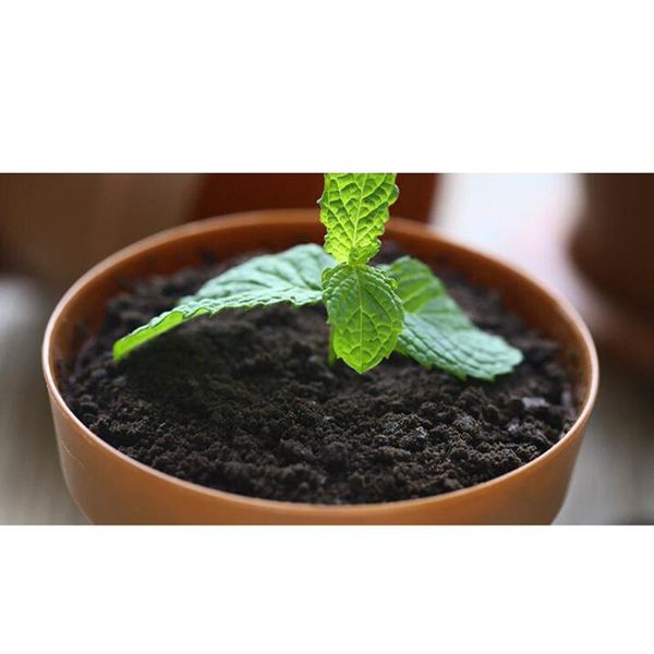 

10pcs flowerpot cake cups with lid shovel scoop bottom tray yogurt cup dessert container for ice cream mousse