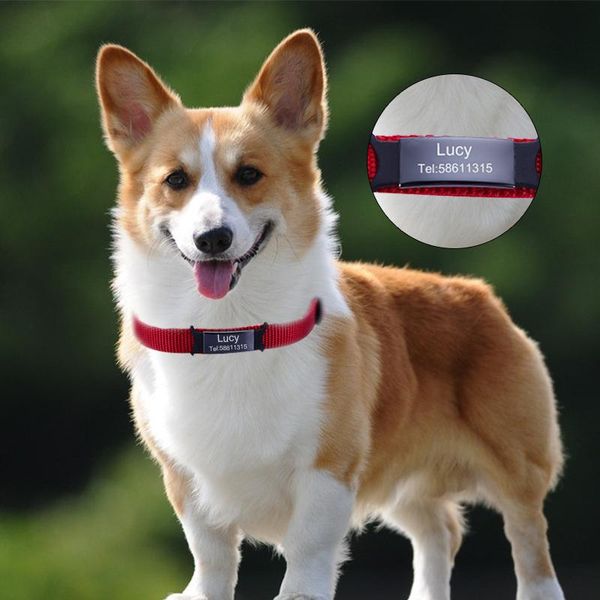 

персонализированные теги идентификатора собаки cat graved pet tel. имя нержавеющая сталь pet cat cat goal tags для домашних животных аксессу