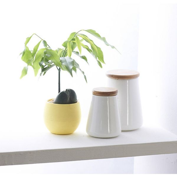 

mini colourful round plastic plant flower pots home office decor planter grow pot growing planter garden flower pots wmtjdv