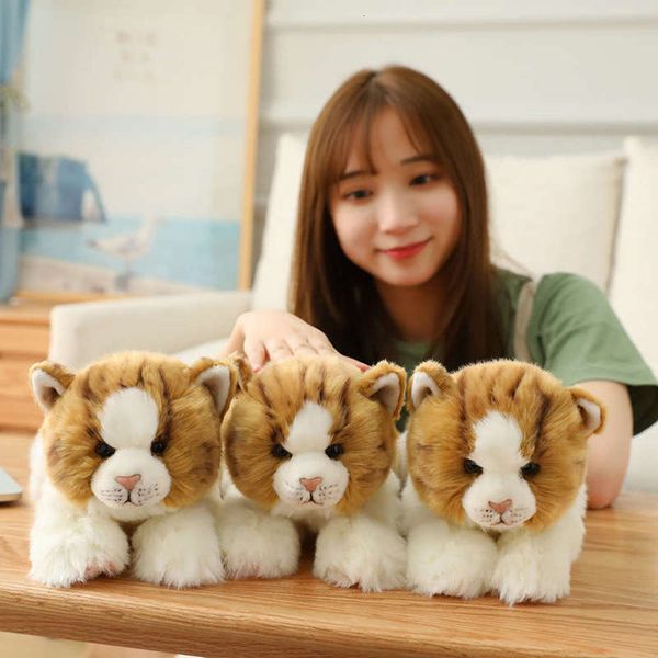 

two new cute simulation color seri cat animal doll plush toys