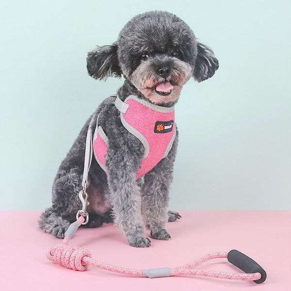 

pet chest harness with leash set cat dog traction rope chest harness dog rope round mesh chain new dropship