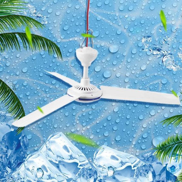 

12v-85v 19.6\" ceiling fan adjust speed hanging fan for bed camping outdoor tent q39d1