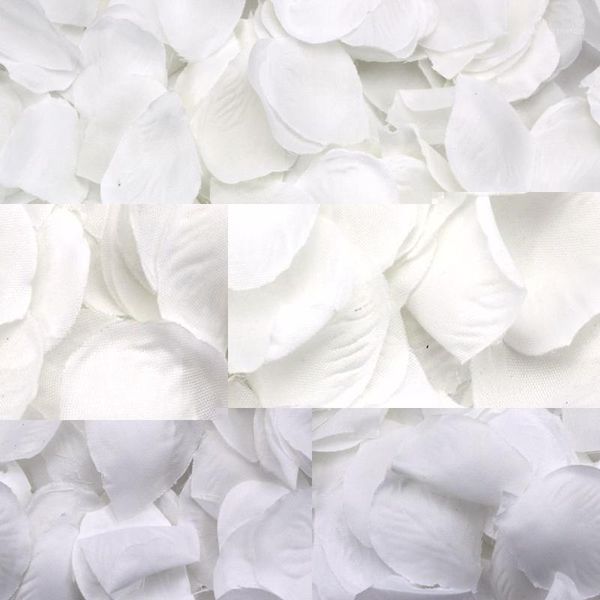 

500 rose petals scattered white decoration wedding party1