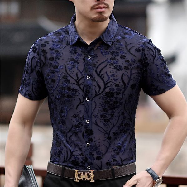 

2020 short-sleeve 's velvet sweater with short sleeves 5c7o, White;black