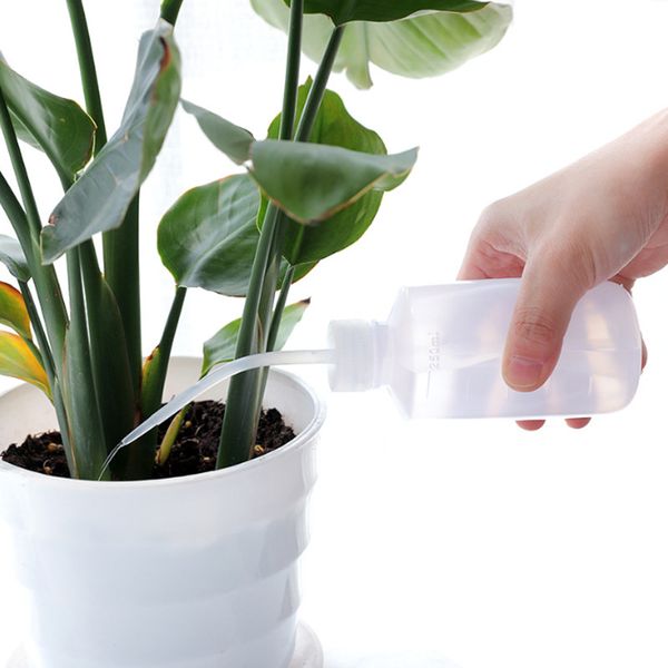 

squeeze bottles with long nozzle garden tools 250ml succulents plant flower special watering bottles water beak pouring kettle 178 n2