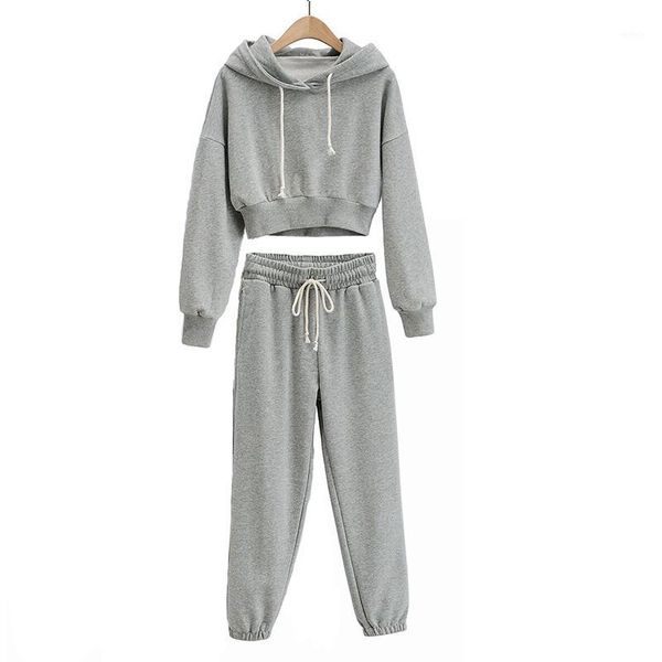 

ukcnsep 2020 casual tracksuit pullovers and pants fleece hoodies set winter autumn two piece set women outfits1, Gray