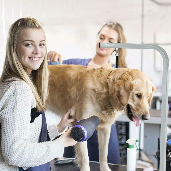 

new 32" et large adjustable pet dog grooming table w/arm/noose gt32