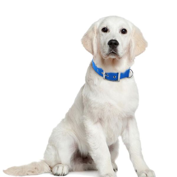 

nylon dog collar pet dog chain leash walking lead rope collars for medium large dogs german shepherd pitbull pet bbyuht