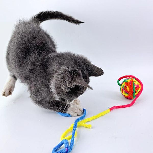 

домашние животные кошек игрушки зубов уборщик зубов царапая палку тренировки собака кошка жевать игрушечные собаки зубная щетка котенок щенк