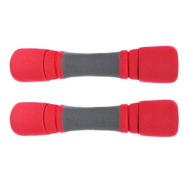 

dumbbells 2pcs comfortable fitness sport equipment for ladies female