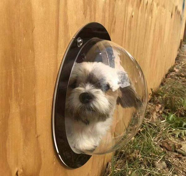 

окно забора собаки для домашних животных - прочный купол акриловой собаки для забор задворк, дом, уменьшенный лай, необходимые аппаратные и