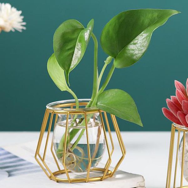 

3d geometric tableflower vase, terrarium air plant holder glass display planter table centerpiece flower pot