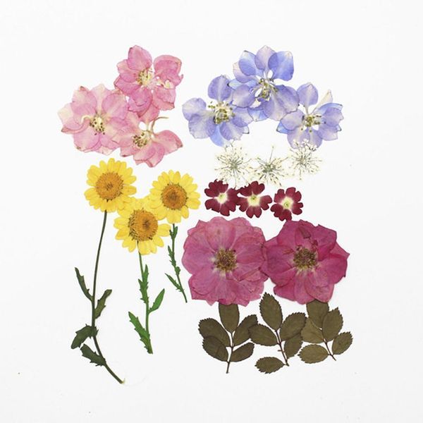 

1bag dried flowers uv resin decorative natural floral flower stickers 3d beauty nail art decals epoxy mold diy filling jewelry h qylkag