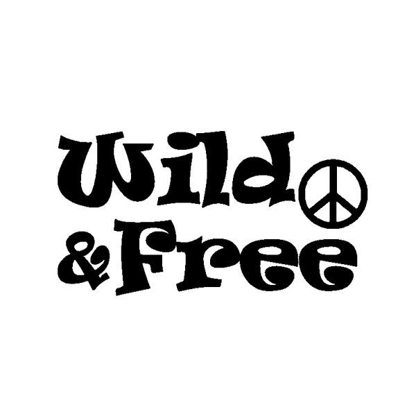 

16.5cm*8.8cm fun text wild and decal decoration black/silver vinyl car sticker c15-3256
