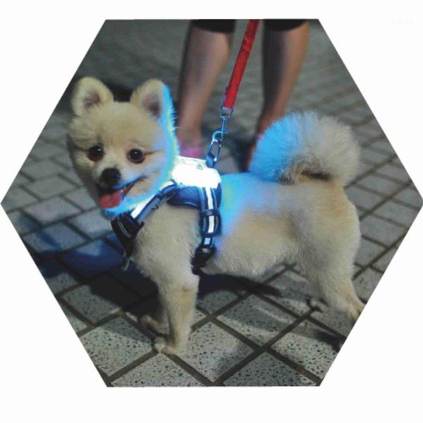 

cc simon led dog harness 7 color in 11