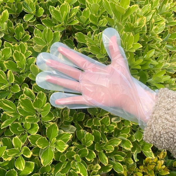 

glove factory plastic hand factoryyq71100pcs safy disposable