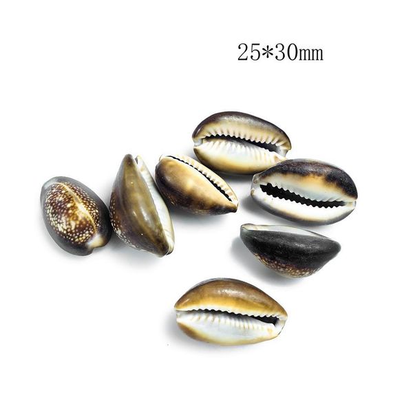 

5pcs snow mountain conch shells collection specimen natural conch seashell crafts home aquarium decoration diy jewelry making h jllfku