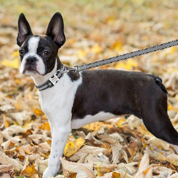

nylon dog leash lead reflective pet walking running training dog leashes rope for small medium large dogs pet bbytxw