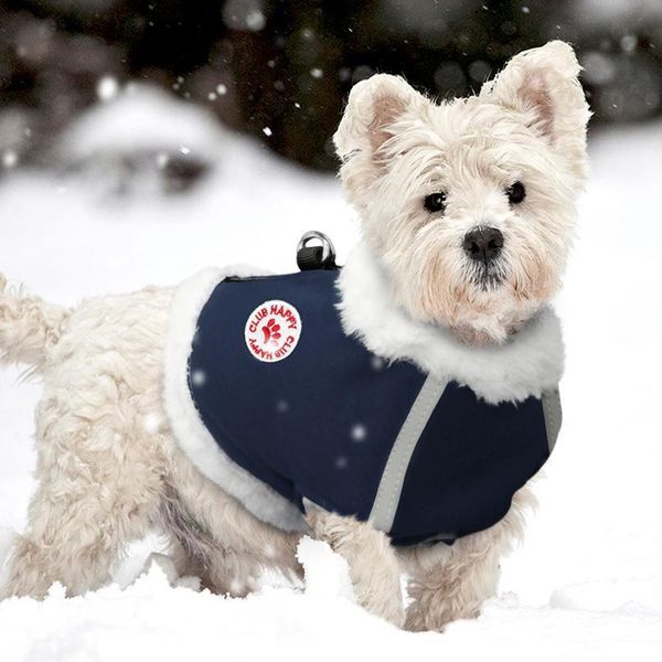 

dog harness vest for small medium dogs cats chihuahua pet puppy french bulldog harness reflective winter dog clothes w bbysnx