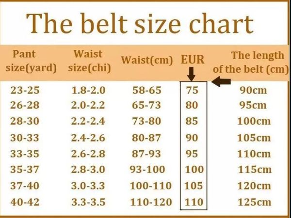 

multi gold silver hardware belt for men and women retail wholesale welcome customers with box, Black;brown