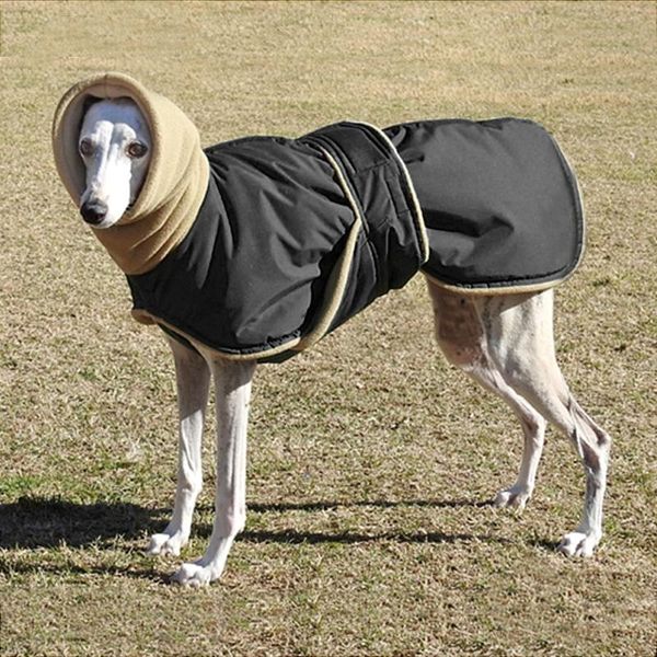 

dog apparel winter warm pet clothes waterproof jacket for medium large dogs thick clothing coat greyhound wolfhound shepherd