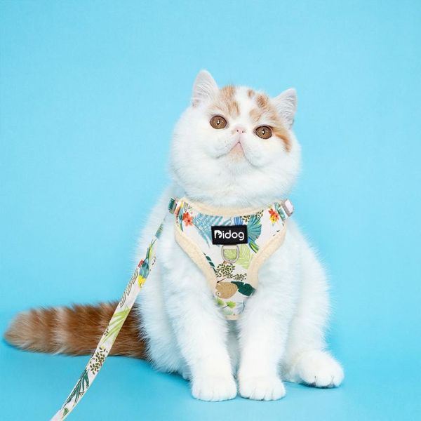 

soft padded mesh harness vest leash for small dogs chihuahua printed puppy cat harness walking running leash rope arn sqcaes