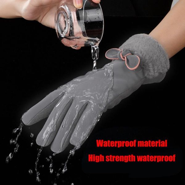 

new winter female gloves warm waterproof and windproof mittens double thick plush wrist women touch screen driving gloves, Blue;gray