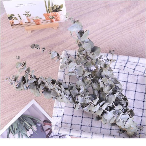 

natural dried flowers artificial flower dried eucalyptus leaf real wheat cotton bulrush nordic for home wedding party de jllwku