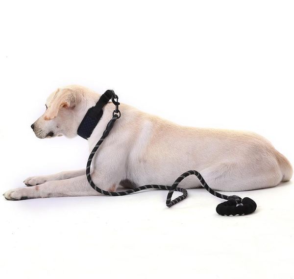 

пэт-поставки светоотражающие многоцветные мягкие круглые веревки собака поводка цепь тяги ремень комфорт sqcvfz new_dhbest