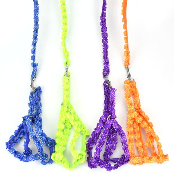 

lace up dog, adjustable strap, nylon walking rope, dog and cat