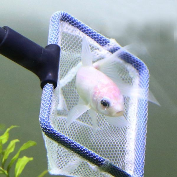 

gravel tank complete clean net set fish rake algae scraper fork sponge brush glass aquarium cleaner tool kit