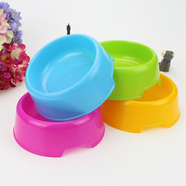 

pet supplies, plastic bowl for dog, water supply, doggie feeder, cat, dog