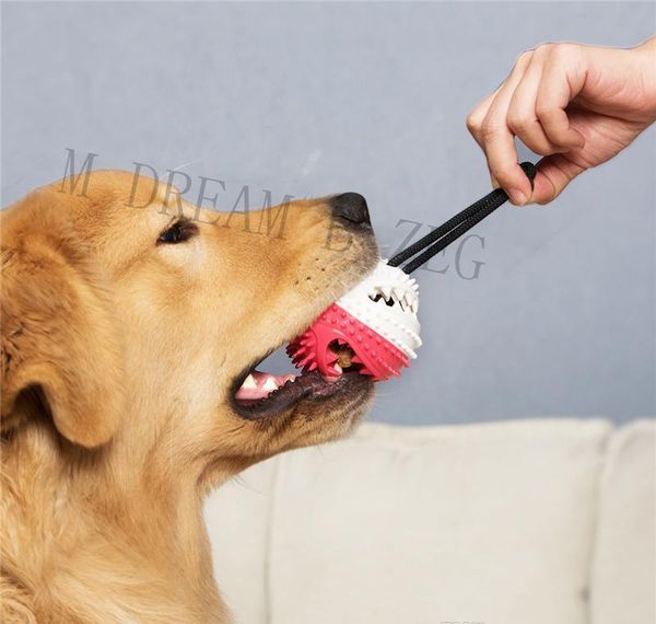 

dog molar toy toothbrush pet chew toy pet dog food dispensing teeth cleaning chew toy puppy bite toys p bbyups bde_luck