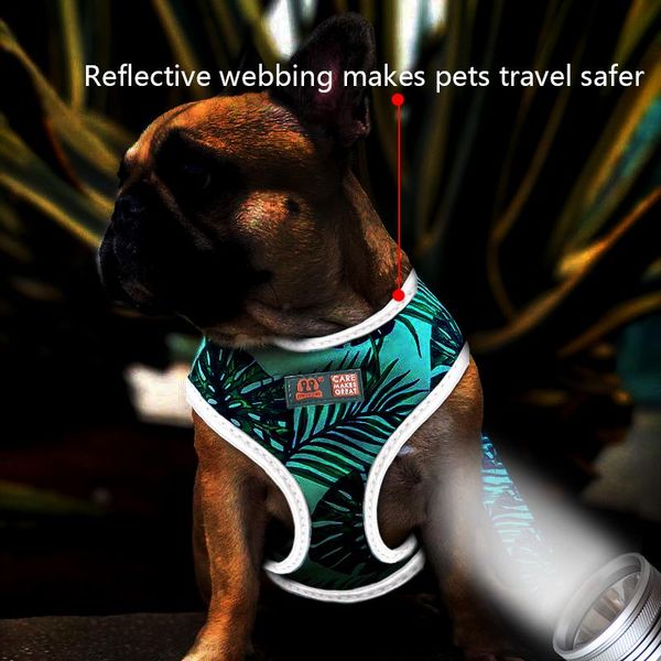 

нейлоновая собака кошка жгут напечатанный французский бульдог жгут жгут щенка маленькие собаки жгут жилет животных аксессуары jlljil garden