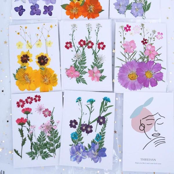 

lots mixed real pressed flower dried flowers for resin jewellery scrapbooking phone case making crafts diy dry plants1