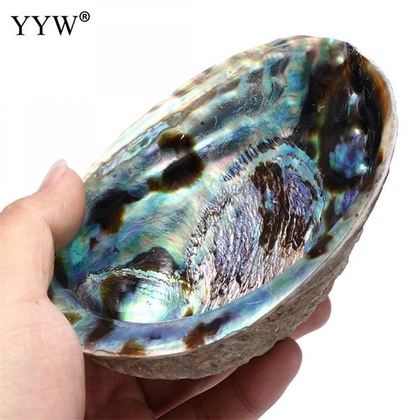 

132x95x36mm large abalone shell(4-6") rainbow multicolor oval smudge bowl with velvet pouch hole shell jewelry holder for gift t200602, Pink;blue