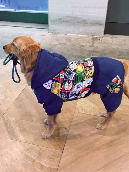 

autumn and labrador border shepherd clothing large dog golden winter pet cotton padded coat four feet prevent