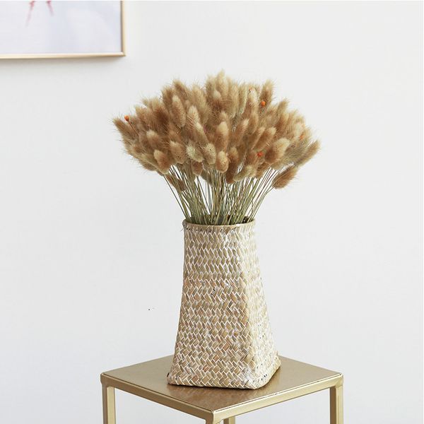 

Pampas Grass Thinker Raw Color Dried Flower Bunny Tail Natural Plants Floral Rabbit Grass Bouquet Home Decoration Bunny Tail Grass