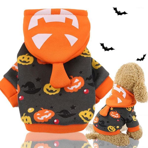

new pumpkin lantern jack funny halloween into costumes for christmas pet clothes autumn and winter1