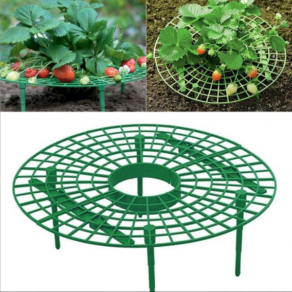 

strawberry stand frame holder balcony planting rack fruit support plant flower climbing vine pillar gardening stand jk2003 73 g2