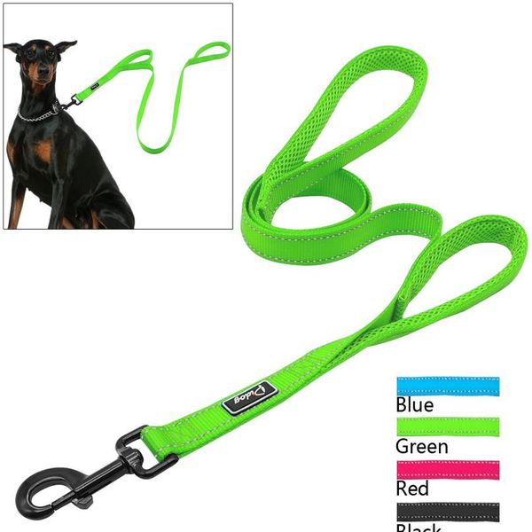 

2 handles nylon padded double handle leash for greater control for medium large dog dual padded handles protect dog in bbyiaz