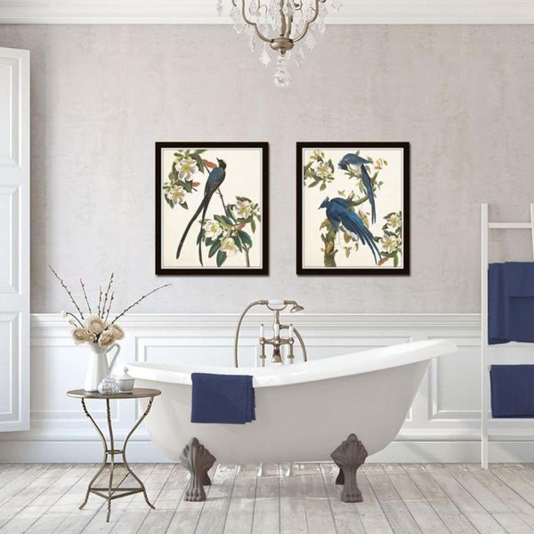 

paintings audubon raven and crow birds collection blue bird botanical canvas art print painting poster wall picture office home decoration