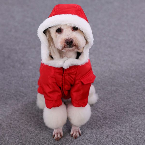 

teddy is thicker and warmer than bear pomegranate schnauzer tide brand cotton padded coat small dog winter clothing