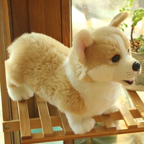 

cocky imitation cartoon dog plush toy welsh poodle doll