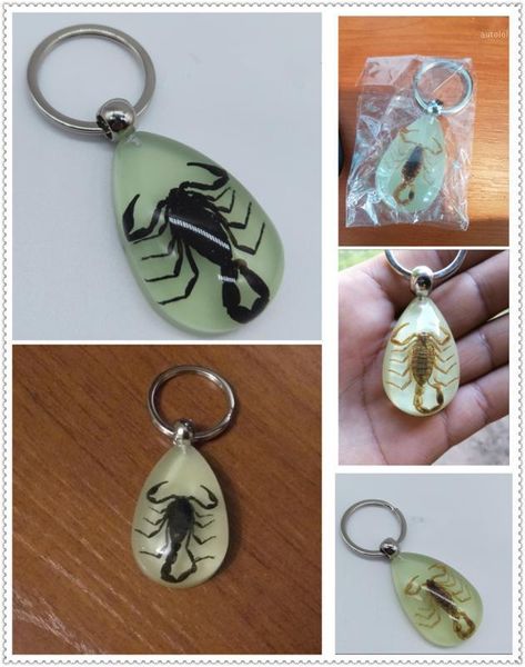 

car motorcycle light insect keychain scorpion key ring for nissan nv200 nuvu nv2500 forum denki 350z zaroot1, Silver
