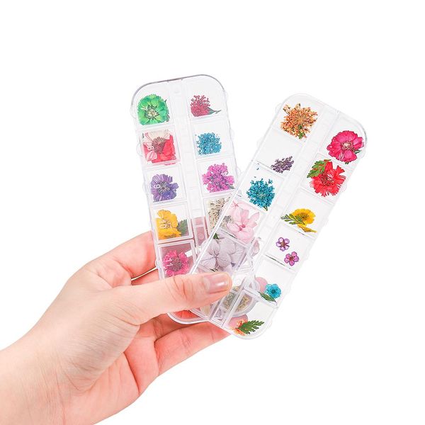 

1 box нарцисс daisy real сухих цветов сухих растений для эпоксидной смолы формы ожерелье изготовление ювелирных изделий craft diy аксессуары